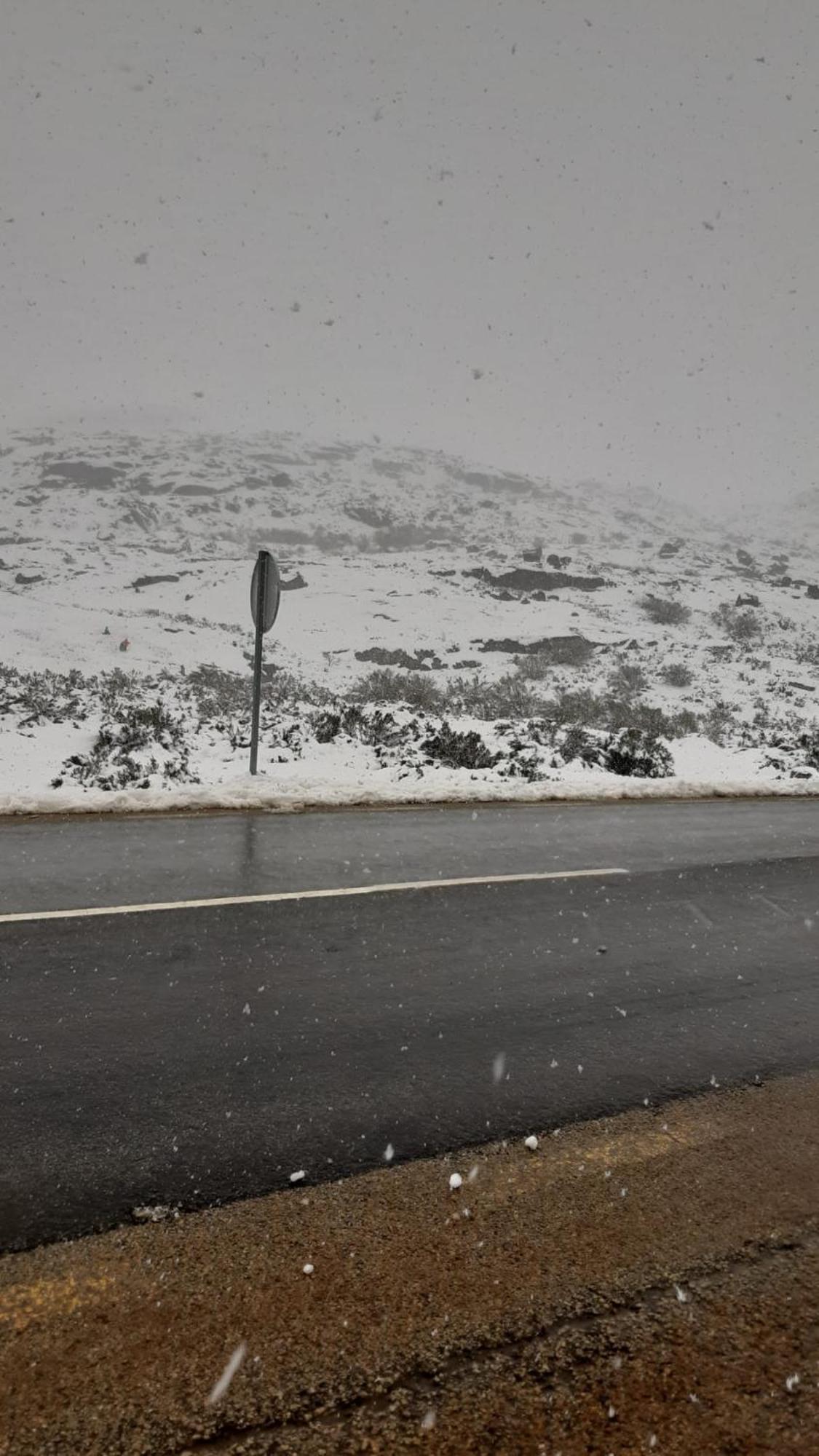 Serra Da Estrela - Casa Castro غويفيا المظهر الخارجي الصورة